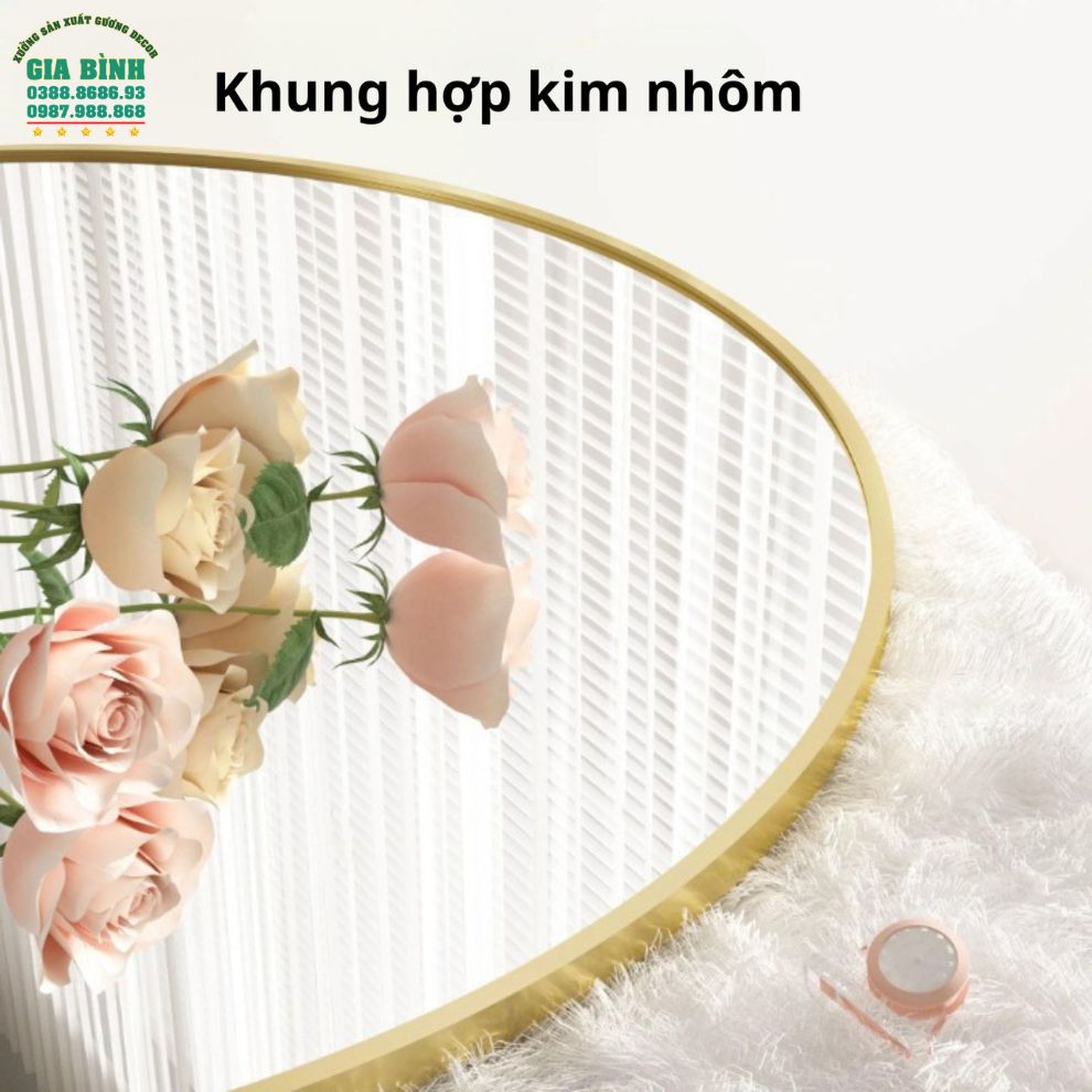 Gương đứng soi toàn thân khung kim loại