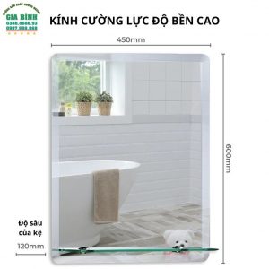 Gương phòng tắm treo tường hình chữ nhật mã PT01